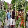 Thaipongal_Function_2020.01.17